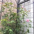 thumbnail image 3 of Hi-GARDEN, 1-YEAR-WARRANTY, 86.7"(H)*19.7"(W), 2 Pack of Metal Garden Trellis for Climbing Plants Outdoor, Rustproof Plant Support Rose Trellis Netting Trellis(Black), 3 of 6