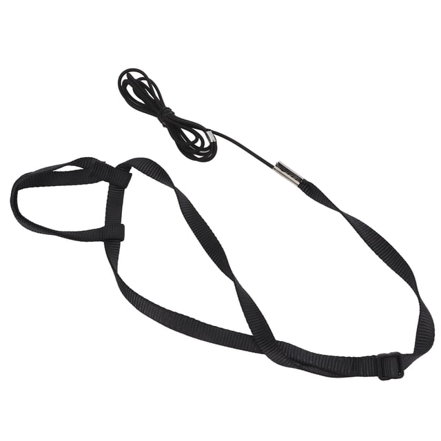 Flying Rope, Bird Harness Ultra Light Leash Adjustable Flying Rope for Outdoor Playing Parties for Macaw African Greys Parakeet Cockatoo