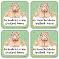 thumbnail image 1 of Vinyl Drink Coasters - Set of 4 - Grandchildren Spoiled Here, 1 of 3