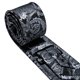 thumbnail image 5 of Set de corbatas Barry.Wang Paisley a la moda para hombre, tejido en seda, 5 of 8