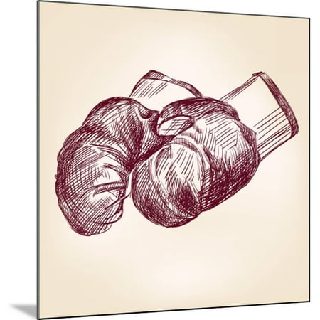 boxing gloves hand drawing