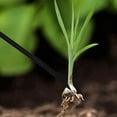 thumbnail image 4 of Herramienta para desmalezar el jardín, mango de agarre cómodo, removedor de malezas de una sola garra para aflojar la tierra, trasplantar suculentas, diseño a prueba de óxido para jardinería al aire, 4 of 5