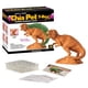 thumbnail image 2 of Maceta decorativa de cerámica Chia Pet T-Rex Tyrannosaurus, 2 of 4
