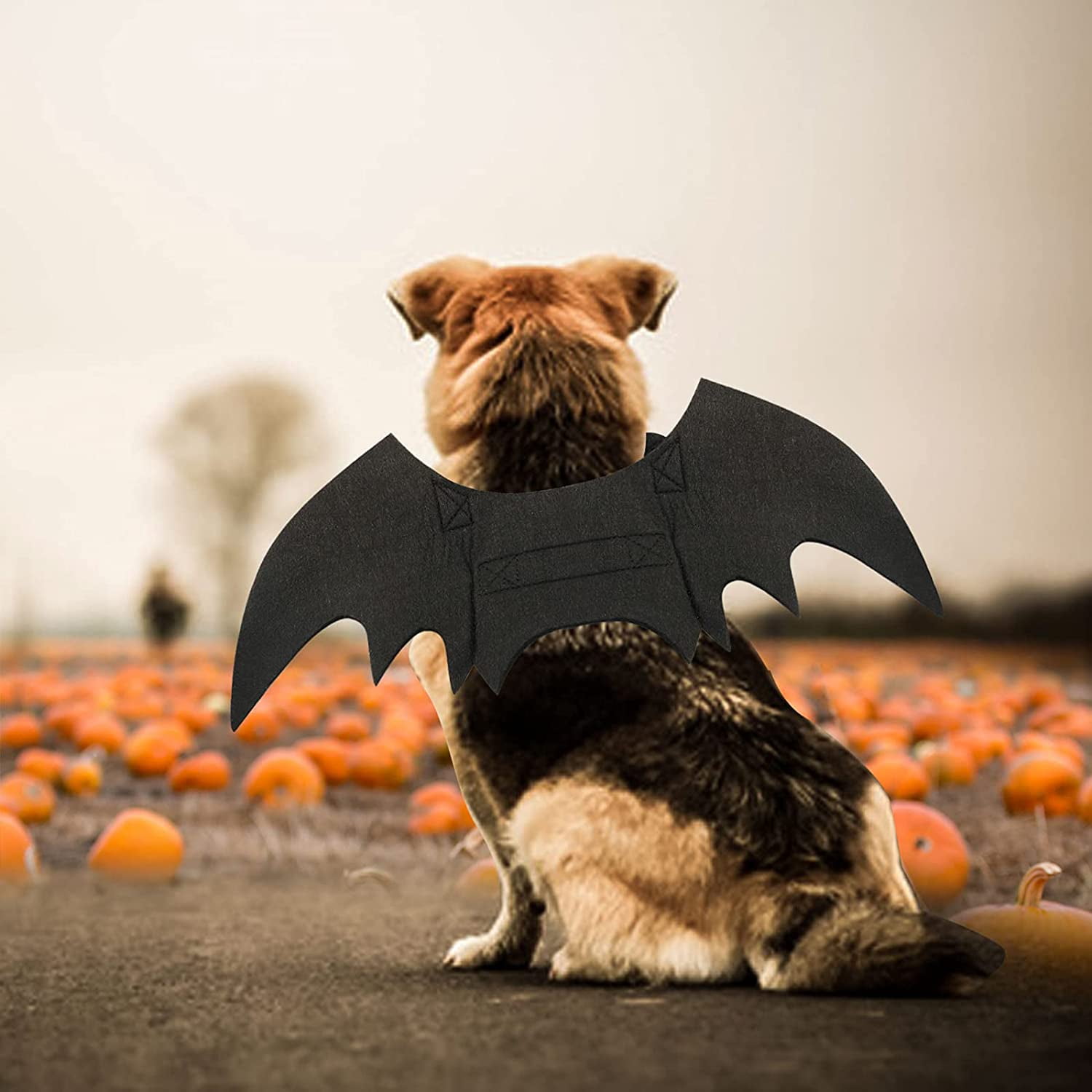 Dog Bat Costume Halloween Pet Costume Bat Wings Cosplay Dog Costume Pet Costume for Party L L Walmart