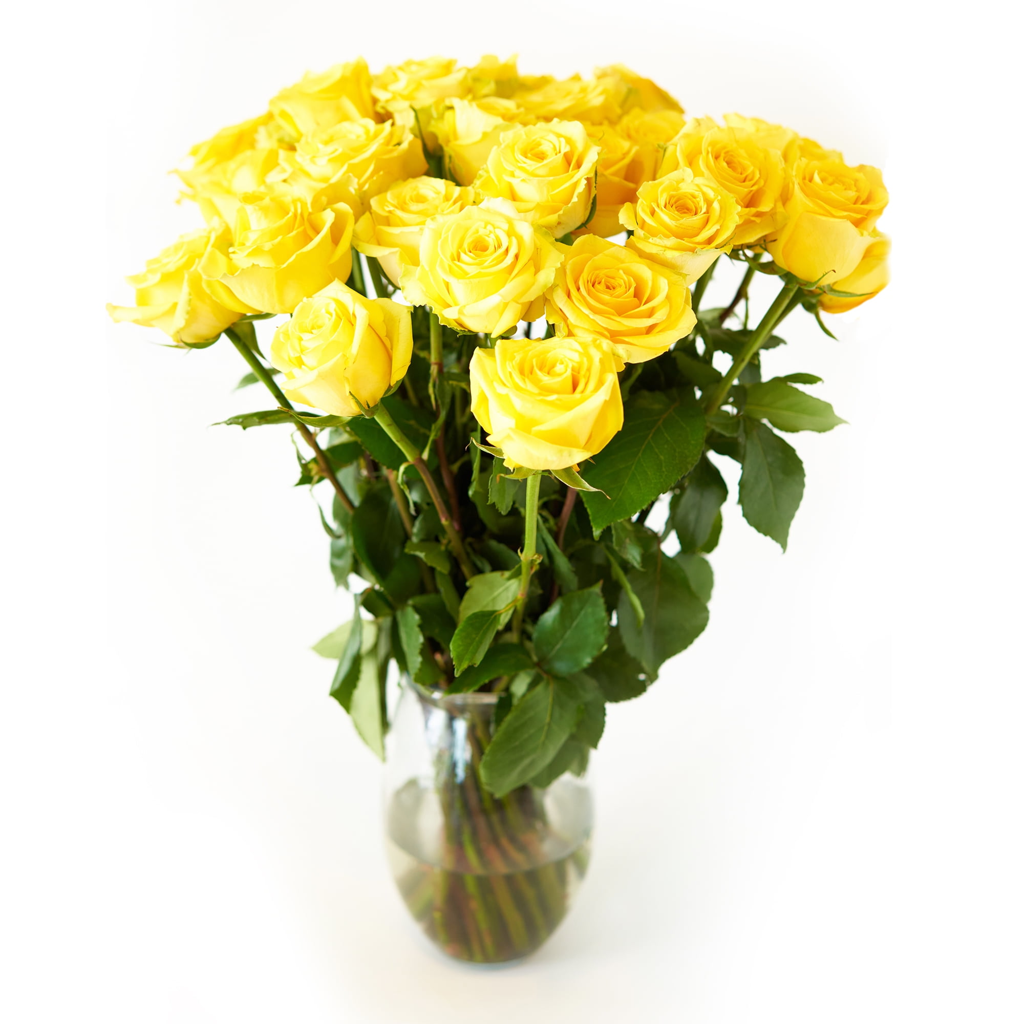 yellow-roses-flower-bouquet-24-yellow-roses-long-stem-2-dozen-roses