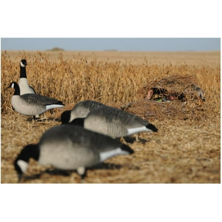 Avery KillerWeed Blind Grass Grain