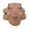 thumbnail image 1 of Máscara de Animal Strade Fareast Limited Accesorio de Disfraz para Halloween, 1 of 8