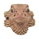 thumbnail image 1 of Máscara de cabeza de animal,Máscara de cabeza de animal,Accesorios de látex,Disfraz realista de cosplay,Máscara de disfraces para Halloween, 1 of 8