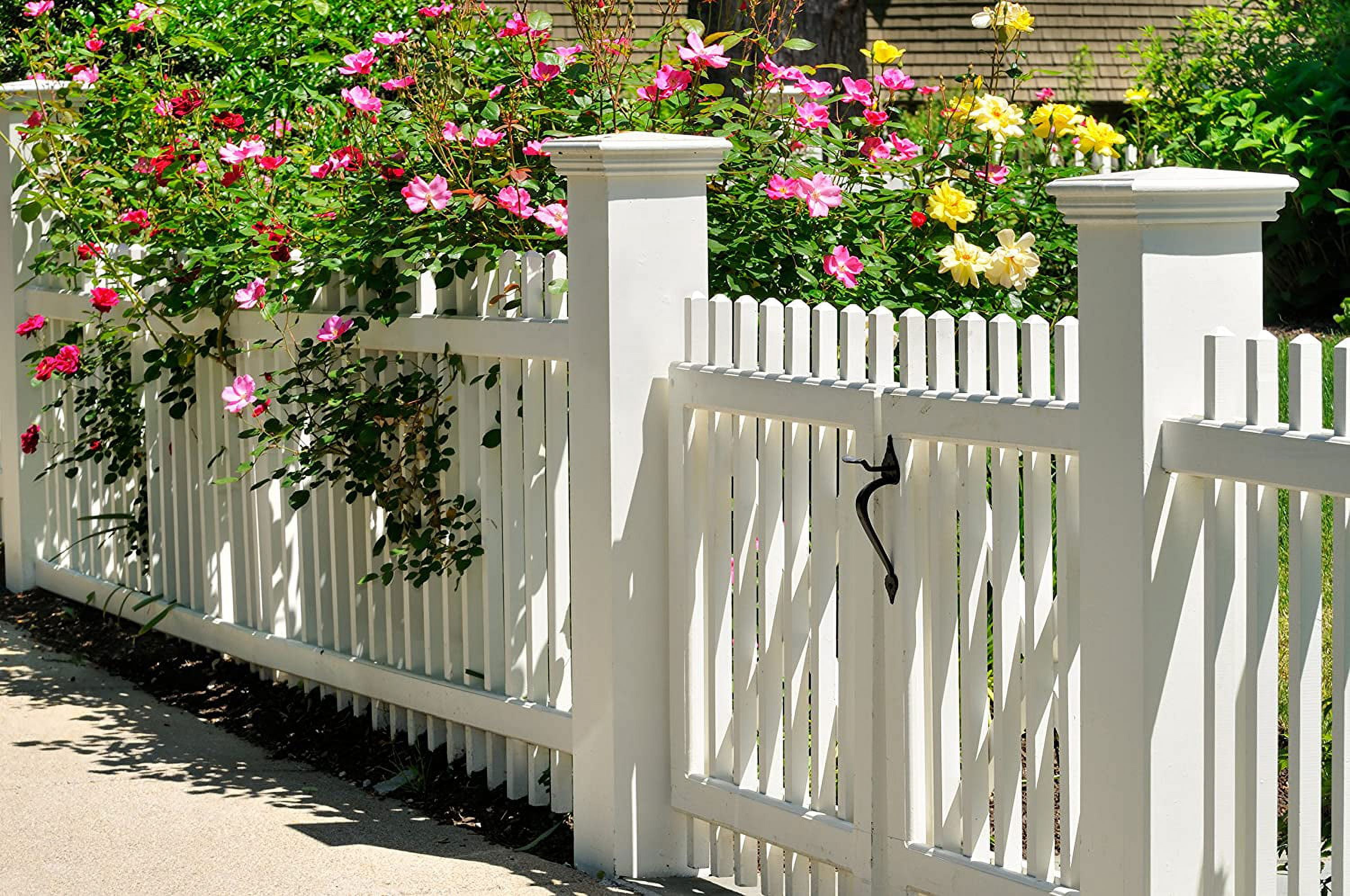 National Hardware N178-616 3" Black Ornamental Gate Latch