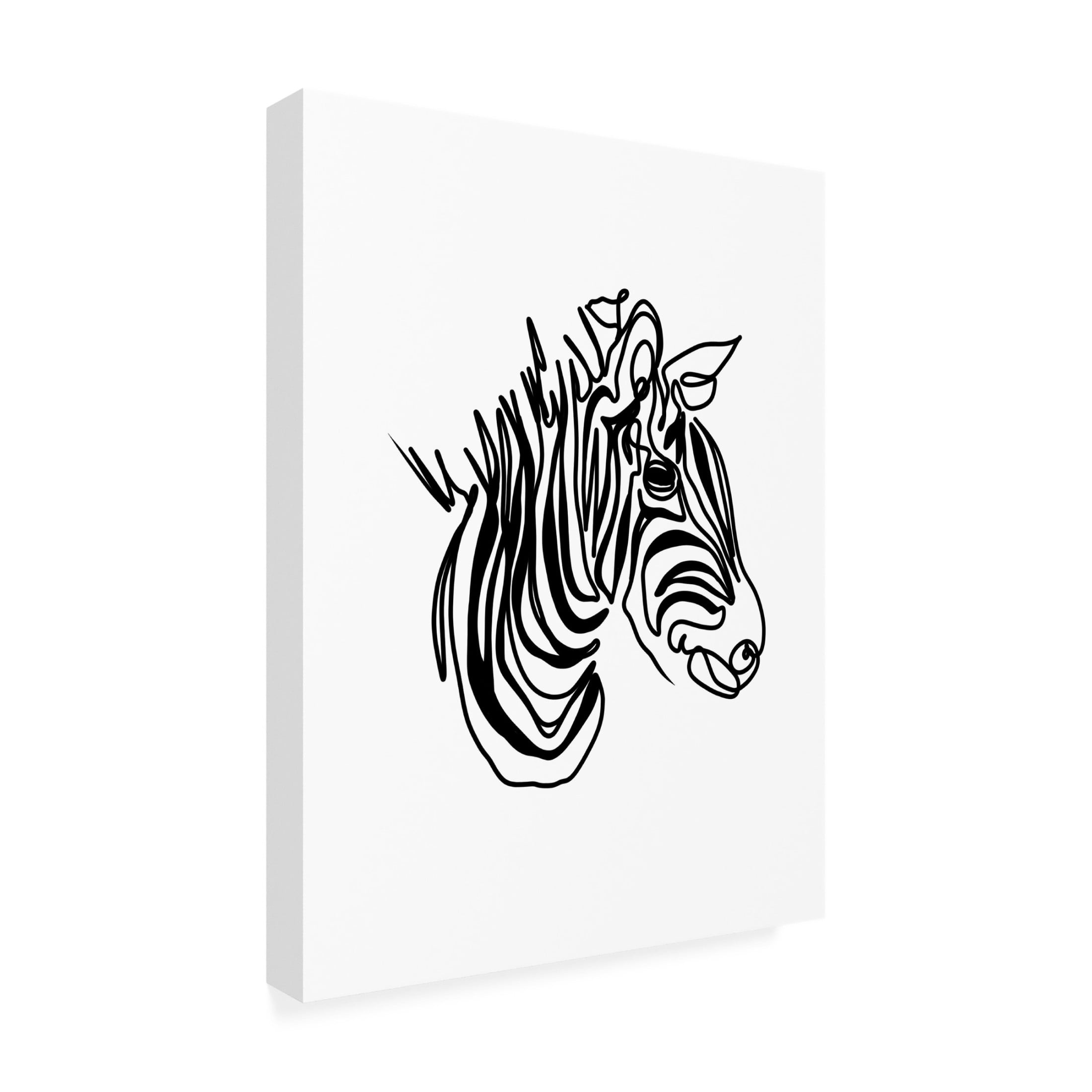 Trademark Fine Art Hanna Lee Tidd The Zebra Canvas Wall Art