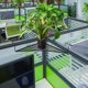 thumbnail image 4 of unbranded Estante Metálico Para Plantas De Y Porche Con Moderno Para, 4 of 7