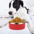 thumbnail image 4 of Lojalitet Cuenco para Perros de 42 OZ. Cuenco de Agua para Comida para Perros de Acero Inoxidable sin Derrames. Cuenco de Agua para Perros de Metal Antideslizante, 4 of 5