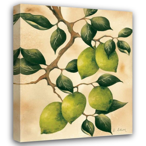 Doris Allison 36x44 Gallery Wrapped Canvas Wall Art Titled - Italian Harvest - Limes