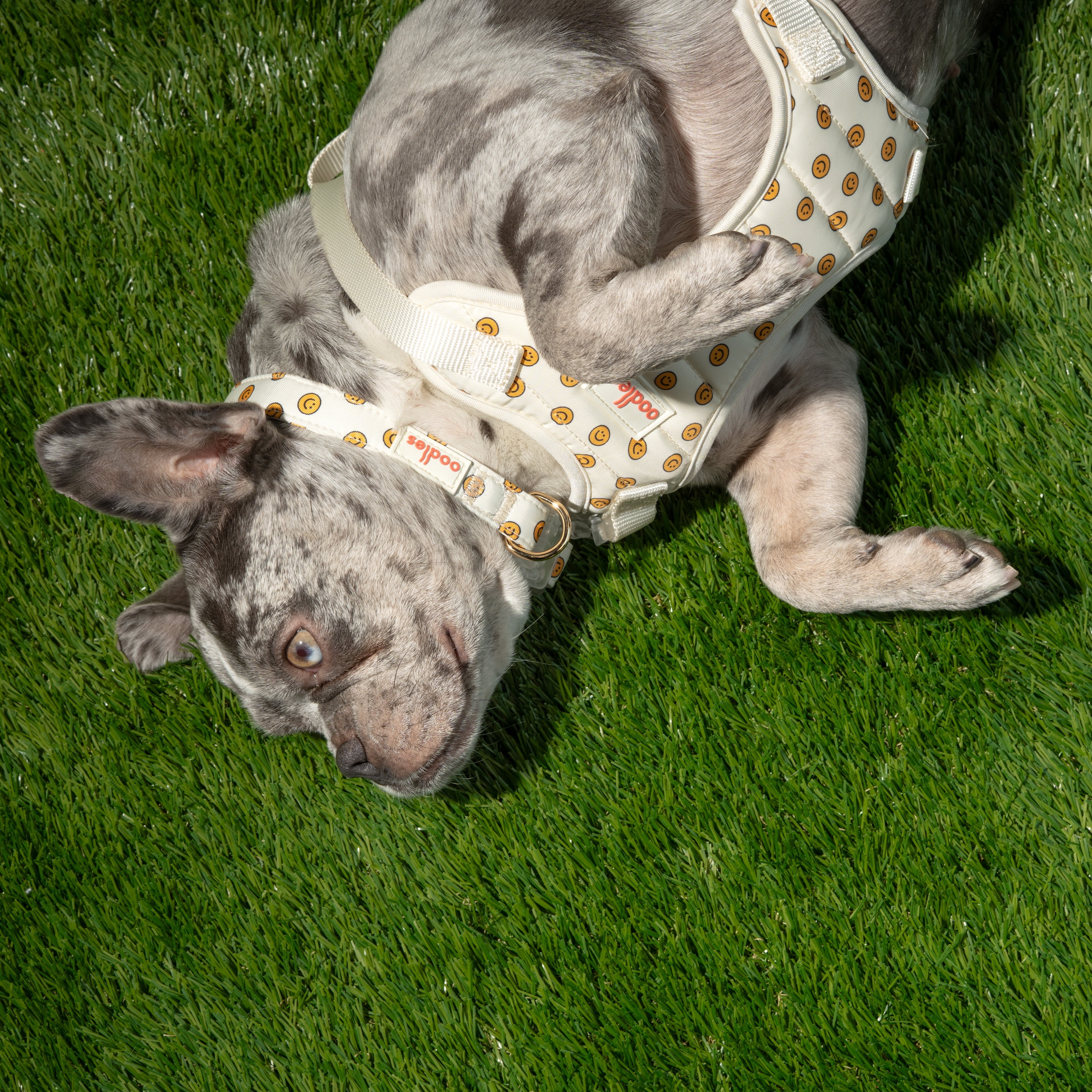 Oodles Tan Smiley Faces Quilted Adjustable Dog Harness, Medium