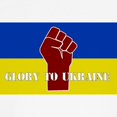 thumbnail image 3 of CafePress - Glory To Ukraine T Shirt - Cute Toddler T-Shirt, 100% Cotton, 3 of 4