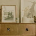 thumbnail image 5 of Black Bear Drawer Pull and Cabinet Knob - Rustic Decor Dresser Hardware for Mountain, Cabin, Lodge or Woodland Home Decorations with Wildlife Charm (Bear Head and Tail Set), 5 of 9