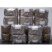 MycoHaus 6 Pack One Pound Injection Port Bags Sterilized Rye Grain Berries Mushroom Substrate Grow Bag