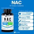 thumbnail image 2 of HealthFare NAC N-Acetyl L-Cysteine Supplement | 1300mg High Potency | 240 Vegan Capsules | Respiratory & Antioxidant Support, Cellular Energy & Liver Support | Non-GMO, Gluten-Free, Made in USA, 2 of 6