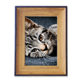 thumbnail image 1 of Cat Stripes Kitty Animal Relax Adorable Photo Frame Exhibition Display Art Desktop Painting, 1 of 3