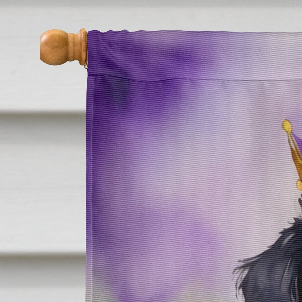 Bernese Mountain Dog King of Mardi Gras House Flag 28 in x 40 in