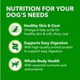 thumbnail image 5 of Iams Proactive Health Wet Dog Food, Lamb Chunks In Gravy, 13 Oz Can (Pack of 4), 5 of 6