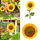 thumbnail image 2 of Girasol acrílico para jardín exterior, inserto para jardín, tarjeta decorativa para jardín, 2 of 8