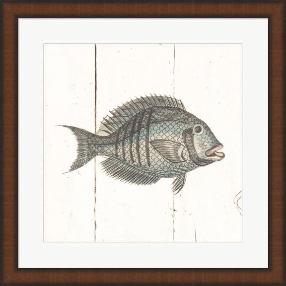 Fish Sketches I Shiplap by Wild Apple Portfolio, Framed Wall Art, 19.75W x 19.75H