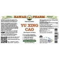 thumbnail image 2 of Yu Xing Cao (Houttuynia Cordata) Dry Herb ALCOHOL-FREE Liquid Extract. Expertly Extracted by Trusted HawaiiPharm Brand. Absolutely Natural. Proudly made in USA. Glycerite 32 Fl.Oz, 2 of 3
