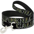 thumbnail image 1 of buckle-down pet leash - california sunset, 1 of 1