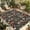 Black, variant on Thanksgiving Mushrooms Outdoor Rug for Patio/Deck/Porch, Non-Slip Large Area Rug 3 x 5 Ft, Country Leaves Botanical Black Indoor Outdoor Rugs Washable Area Rugs, Reversible Camping Rug Carpet Runner