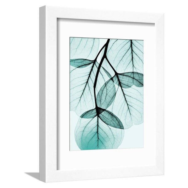 Teal Eucalyptus Framed Print Wall Art By Albert Koetsier - Walmart.com ...