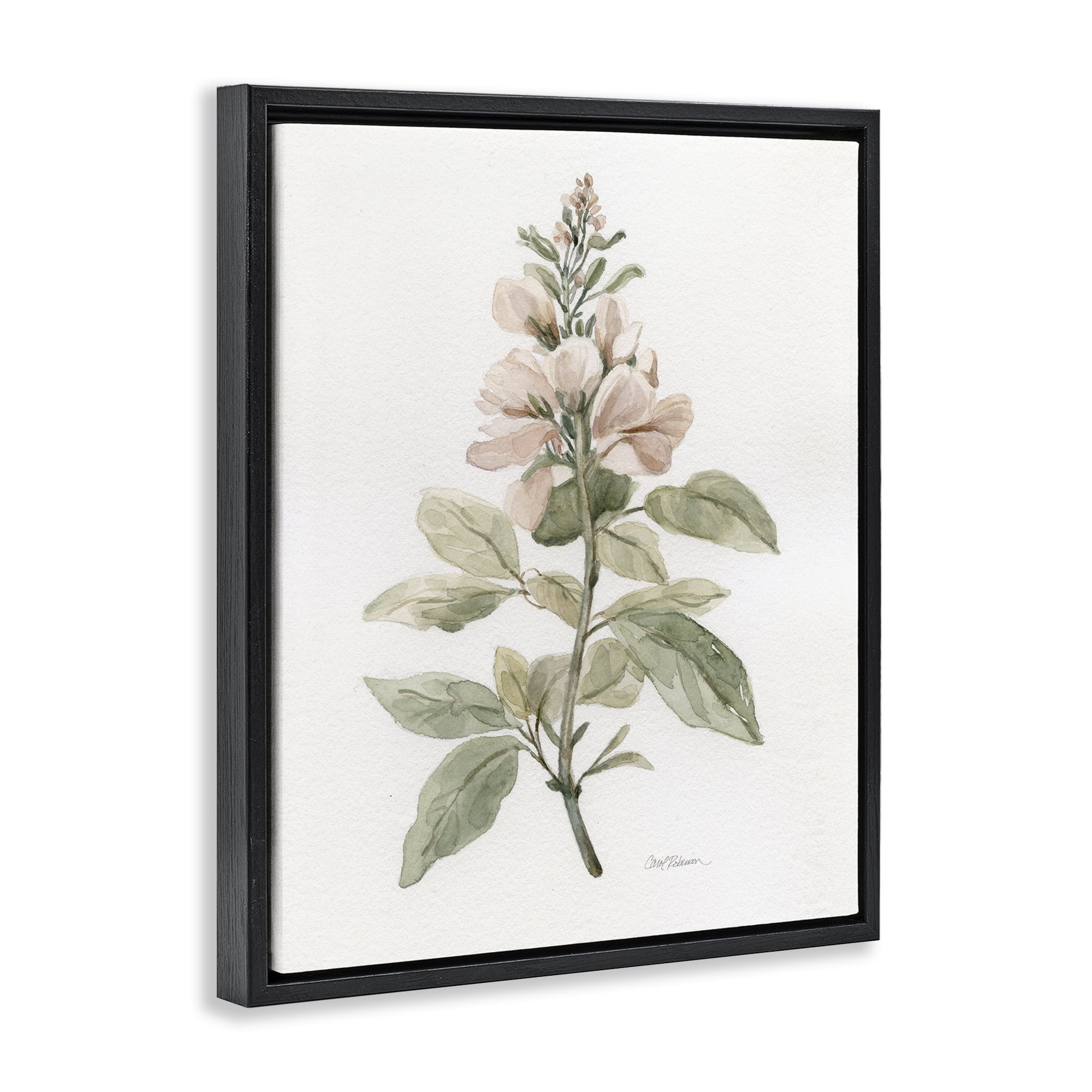 Stupell Industries Subtle Watercolor Botanicals Plants & Flowers Painting Black Floater Framed Canvas Art Print Wall Art, 25 x 31