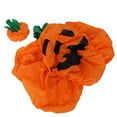 thumbnail image 4 of Easy To Wear Inflatable Clothing, Exquisite Polyester Fabric Inflatable Costume, For Halloween Party Ceremony Pumpkin X122, 4 of 8