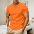 thumbnail image 5 of Men's Casual Loose Fit Round Neck Short Sleeve T-Shirt Breathable Comfortable Tee for Daily Wear and Sports Mens Basic Tee Shirts Summer Classic T-Shirts, 5 of 7