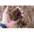 thumbnail image 3 of Organic Garden Coir by Perfect Plants - 100% Pure Coco Peat, 3 of 4