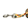thumbnail image 2 of Vibrant Life 6' Polyester Paw and Bone Grid Standard Dog Leash, Multicolor, 2 of 6
