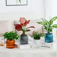 thumbnail image 2 of SDFGTstore Self Watering Flowerpots Planter Table Vase for Various Inner Decoration Setting, 2 of 11