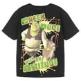 thumbnail image 2 of DreamWorks Shrek Donkey Drop Shoulder T-Shirt Toddler to Big Kid, 2 of 3