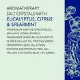 thumbnail image 6 of Dr Teal's Aromatherapy Stress Relief Salt Crystals with Eucalyptus, Citrus, & Spearmint, 25oz, 6 of 6