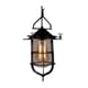 thumbnail image 1 of Farol Colgante Iluminación Luz Vic Rústico Negro Innovador, 1 of 2