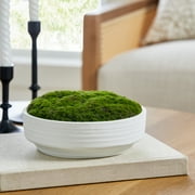 Better Homes & Gardens 8 Faux Moss in Ceramic Bowl