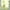 Yellow, variant on Hovilon 31x78 Inch Sheer Curtains,Voile Curtains，Light Filtering Rod Pocket Solid Color Window Sheer Curtain Panels, Elegant Curtains & Drapes for Living Room, Bedroom（1 PCS）