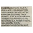thumbnail image 3 of Yogurt Dipped Raisins, 3 of 4