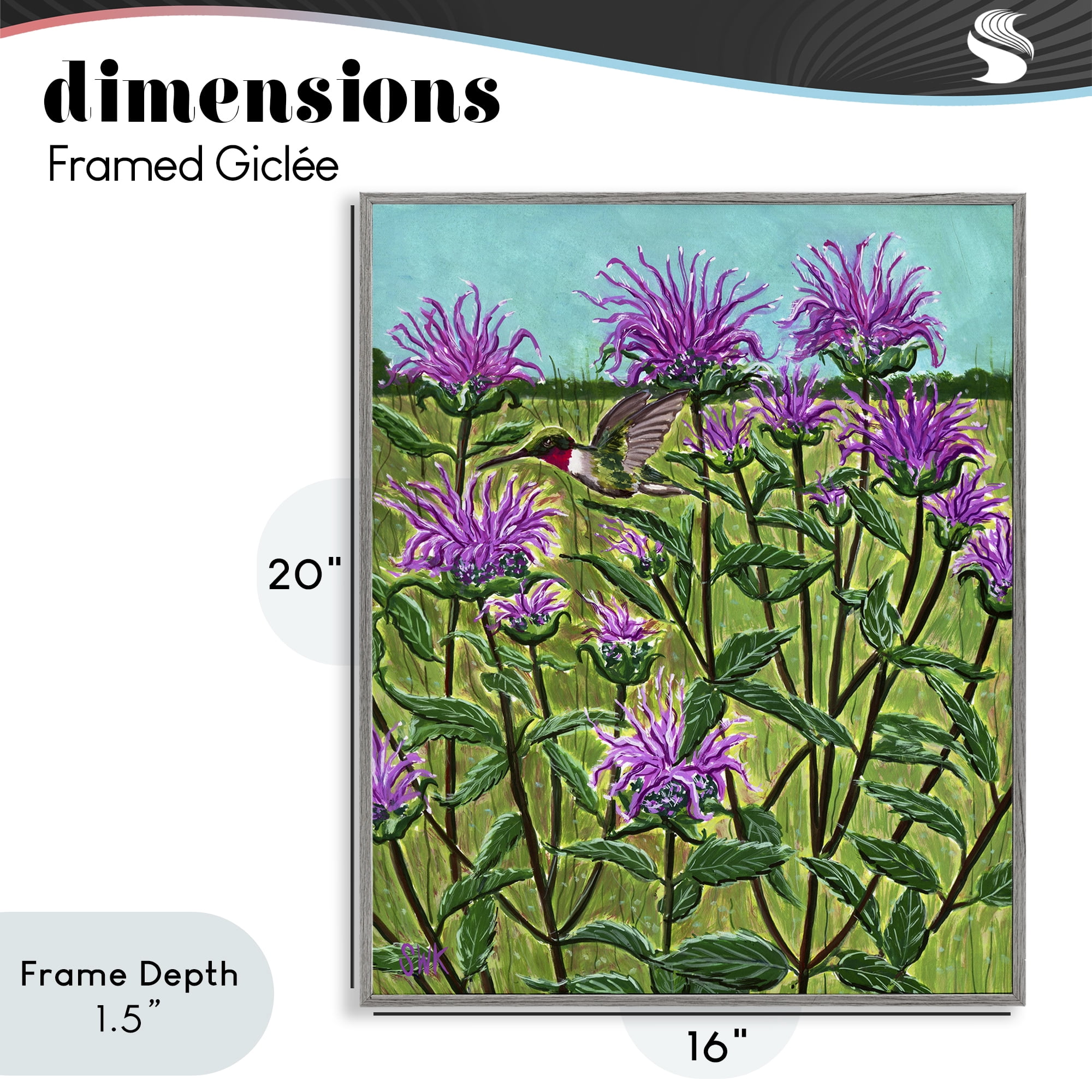 Stupell Industries Ruby Throated Hummingbird & Beebalm Gray Framed Giclee Art, design by Sarah Waldron Kimball