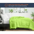thumbnail image 2 of Queen Comforter Solid Parrot Green 300 GSM Plush Siliconized Microfiber Fill Duvet Insert Box Stiched Quilted Fluffy Soft 600 TC Egyptian Cotton Shell with Piping & Pillowcases, 2 of 8