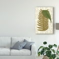 thumbnail image 3 of Trademark Fine Art 'Garden Ferns II' Canvas Art by Vision Studio, 3 of 4