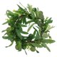 thumbnail image 1 of PTOOTP Guirnalda De Eucalyptus Artificial Para De Puertas Y Bodas, 1 of 7