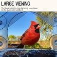 thumbnail image 3 of Window Bird Feeder, Outdoor Bird Feeder for Wild Birds, 3 of 5