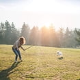 thumbnail image 2 of VILLCASE Flirt Pole for Dogs, Interactive Dog Teaser Wand with 2 Cotton Rope Tails, Adjustable Training for Outdoor Exercise, Chewing, Chasing, 2 of 3