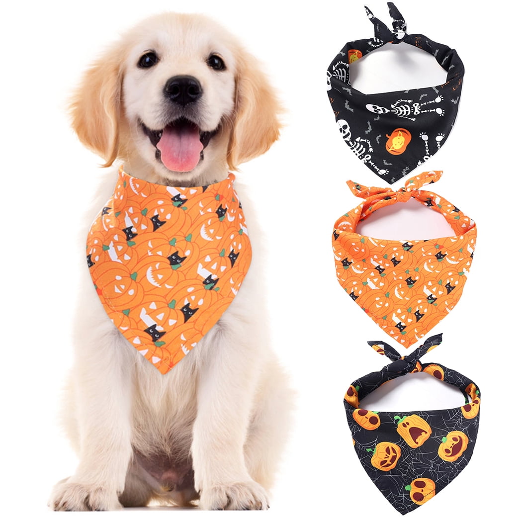 pumpkin dog bandana
